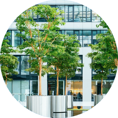 Jardin en face de l'immeuble d'élecocité