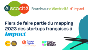 Mapping Impact France Digitale